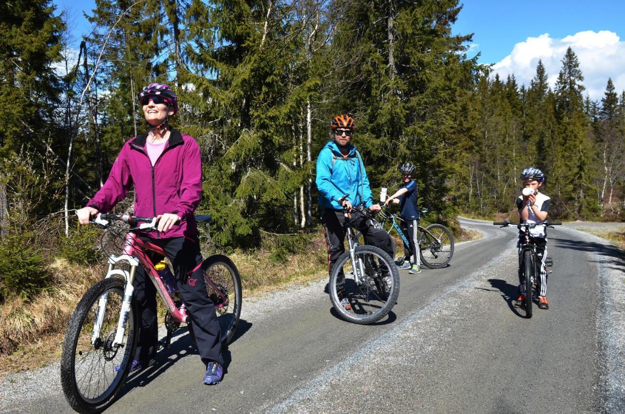 Topcamp Onsakervika - Tyrifjorden Svensrud Buitenkant foto